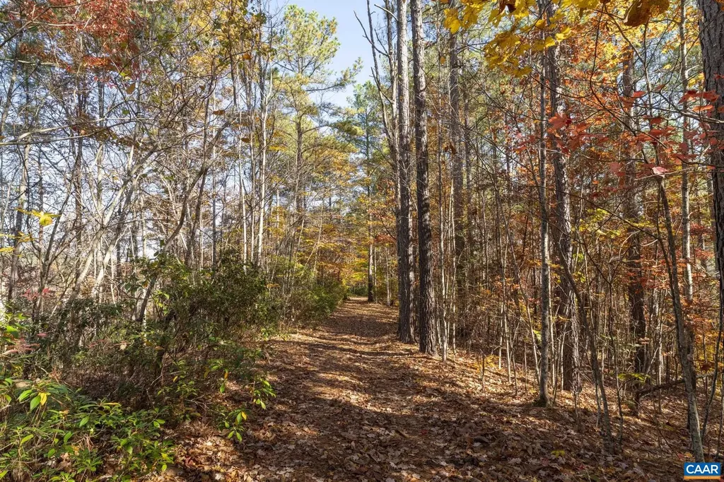 9225 Howardsville Turnpike Schuyler VA 22969