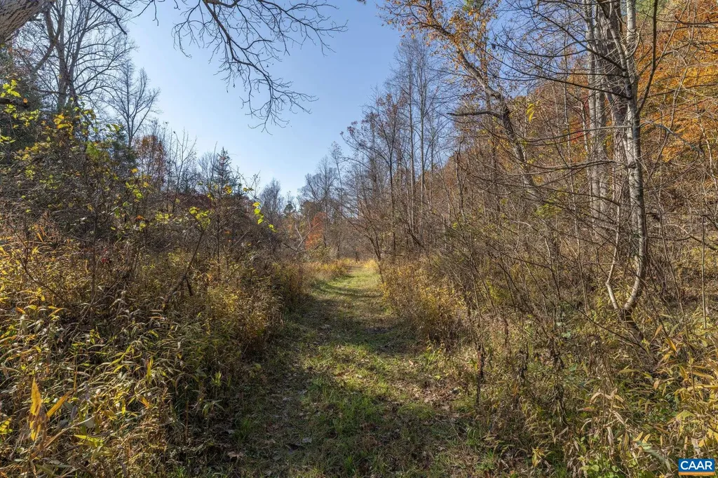 9225 Howardsville Turnpike Schuyler VA 22969