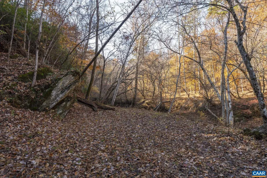 9225 Howardsville Turnpike Schuyler VA 22969