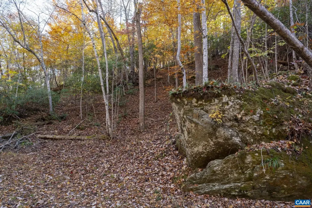 9225 Howardsville Turnpike Schuyler VA 22969