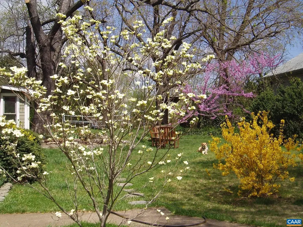 5834 Saint George Avenue Crozet VA 22932