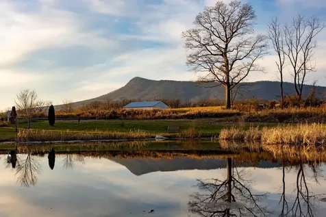 LOT-46 Dalmatian Drive Mcgaheysville VA 22840