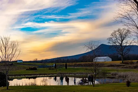 LOT-46 Dalmatian Drive Mcgaheysville VA 22840