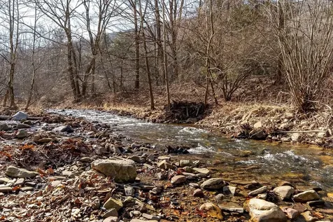 29 Shenandoah Mountain Road Sugar Grove WV 26815