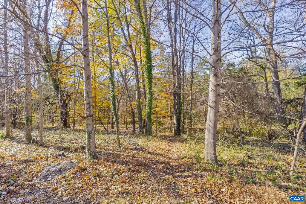 1490 Wickham Pond Drive Charlottesville VA 22901