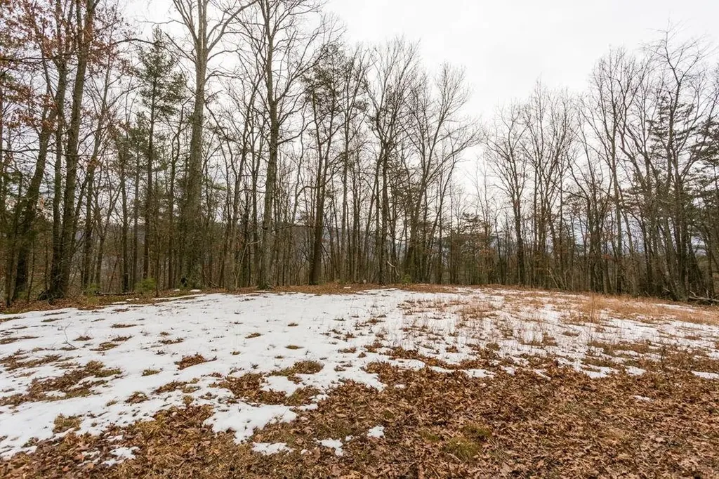 Lot 44 Rainbow Ridge Road Bergton VA 22811