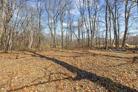 38 Maggie Lane Mount Solon VA 22843