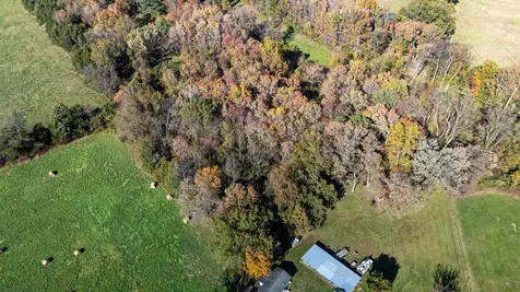 0 Dry Run Road Luray VA 22835