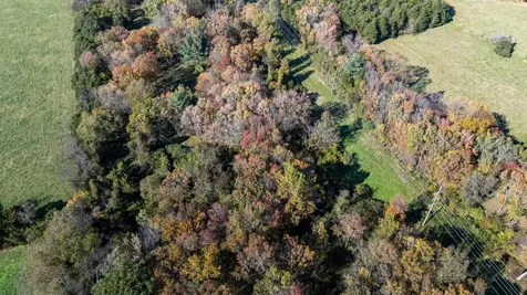 0 Dry Run Road Luray VA 22835