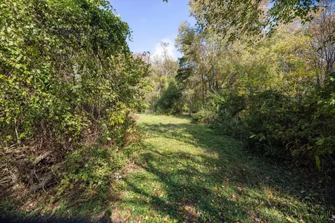 0 Dry Run Road Luray VA 22835