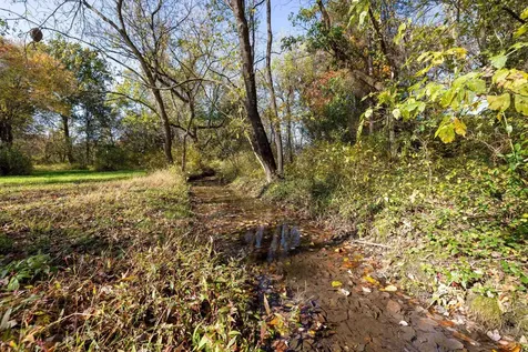 0 Dry Run Road Luray VA 22835