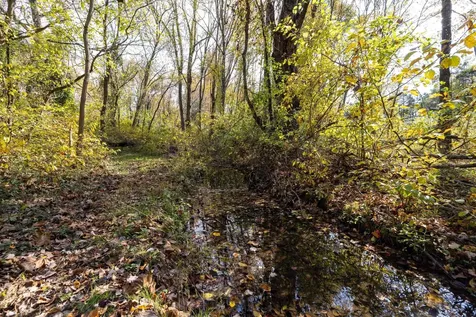 0 Dry Run Road Luray VA 22835