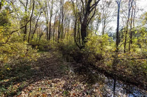 0 Dry Run Road Luray VA 22835