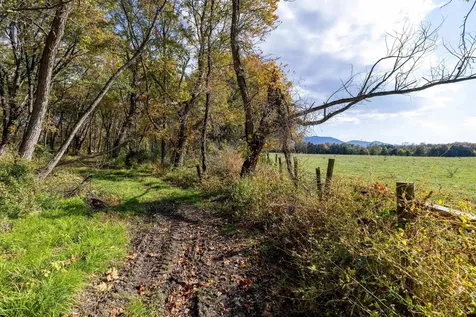 0 Dry Run Road Luray VA 22835