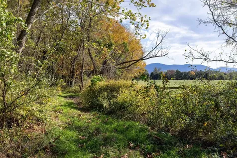 0 Dry Run Road Luray VA 22835