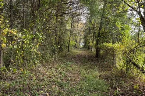 0 Dry Run Road Luray VA 22835