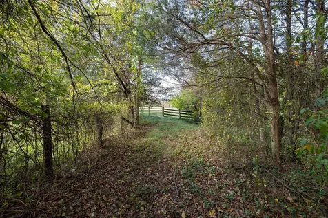 0 Dry Run Road Luray VA 22835