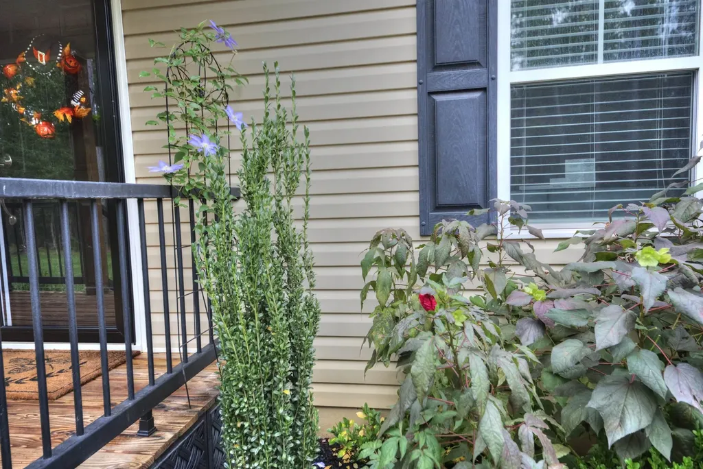 2635 Bumpass Road Beaverdam VA 23015