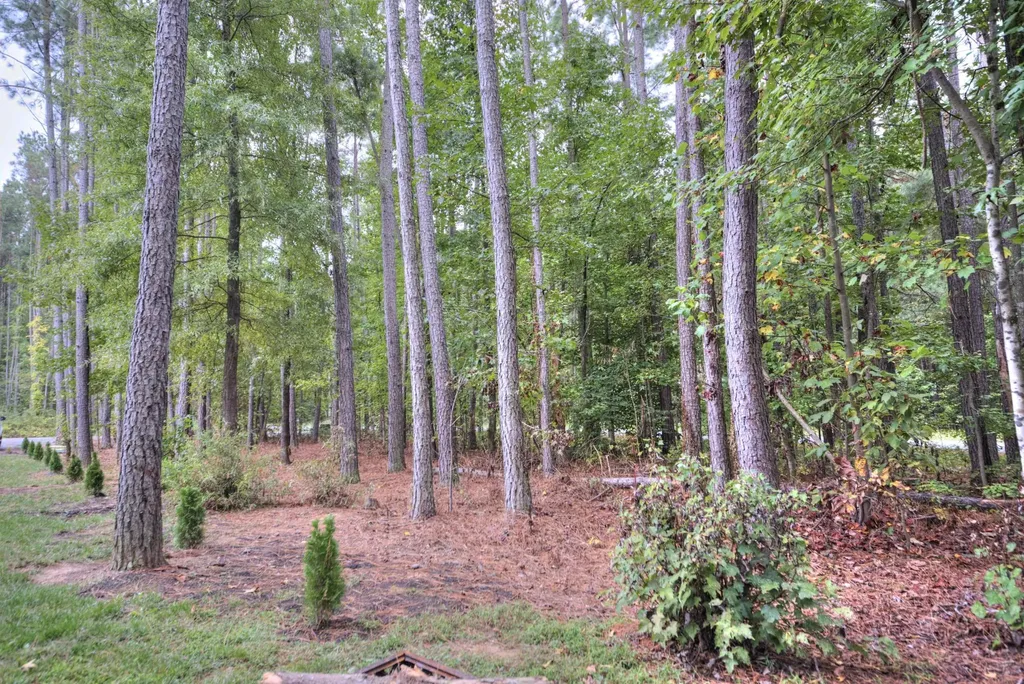 2635 Bumpass Road Beaverdam VA 23015