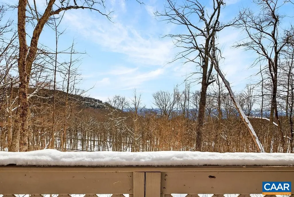 38 Firtree Drive Wintergreen VA 22967