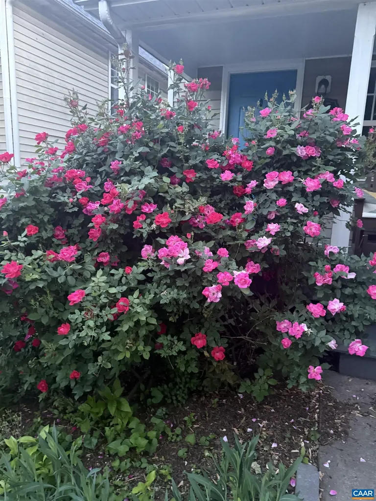 415 12th Street NW Charlottesville VA 22903