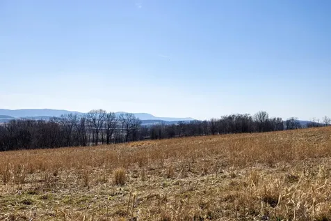 0 Neighbors Lane Timberville VA 22853