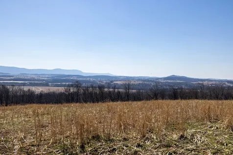 0 Neighbors Lane Timberville VA 22853