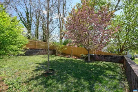 908 Elliott Avenue Charlottesville VA 22902