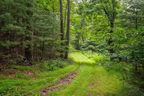 Tbd Criders Road Bergton VA 22811