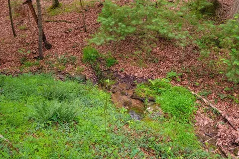 Tbd Criders Road Bergton VA 22811