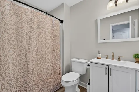 235 Locustdale Loop Shenandoah VA 22849