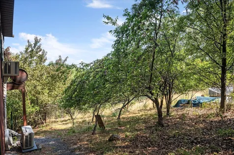 685 Maple Drive N Mt Jackson VA 22842