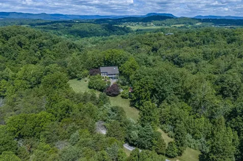 40 Weavers Way Buena Vista VA 24416