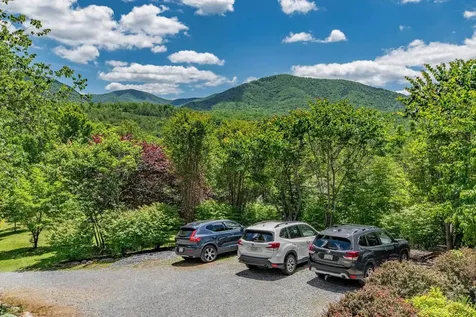 40 Weavers Way Buena Vista VA 24416