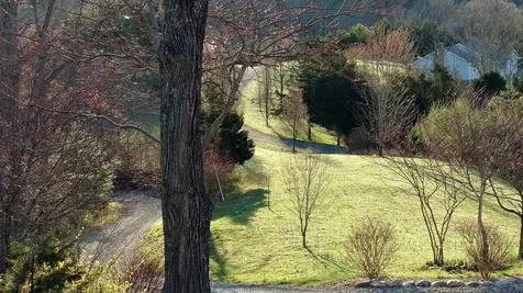 40 Weavers Way Buena Vista VA 24416