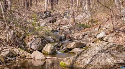4893 Weakley Hollow Road Syria VA 22743