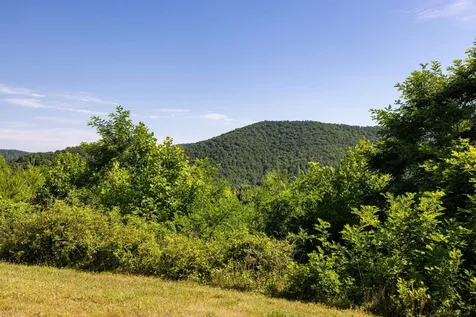 5855 Jollett Road Elkton VA 22827