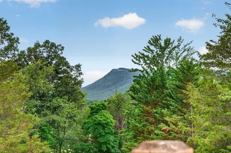 1380 Bloomer Springs Road Mcgaheysville VA 22840