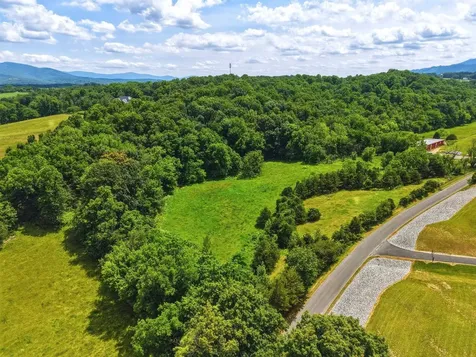 0 Newport Road Shenandoah VA 22849