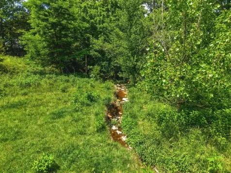 0 Newport Road Shenandoah VA 22849