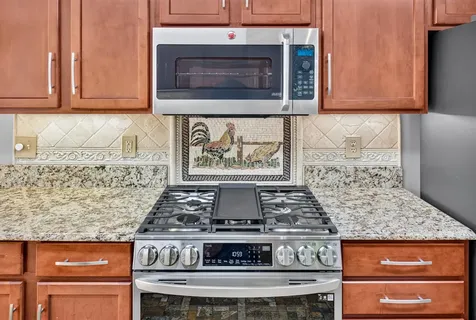 258 Turkey Drive Mcgaheysville VA 22840