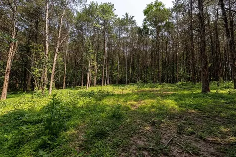 Tbd Us Hwy 211 W Luray VA 22835