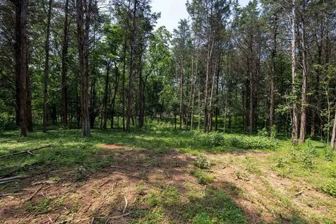 Tbd Us Hwy 211 W Luray VA 22835