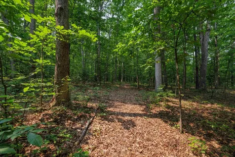 Tbd Broadhead School Road Greenville VA 24440