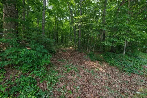 Tbd Broadhead School Road Greenville VA 24440