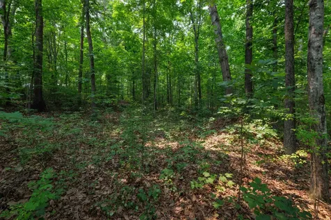 Tbd Broadhead School Road Greenville VA 24440