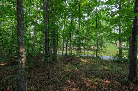 Tbd Broadhead School Road Greenville VA 24440