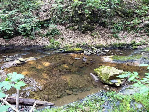216 Little Calf Pasture Highway Swoope VA 24479