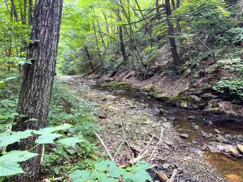 216 Little Calf Pasture Highway Swoope VA 24479