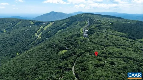 383 Timber Camp Drive Wintergreen Resort VA 22967